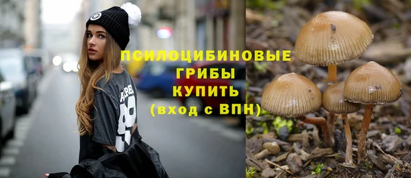 винт Вязники